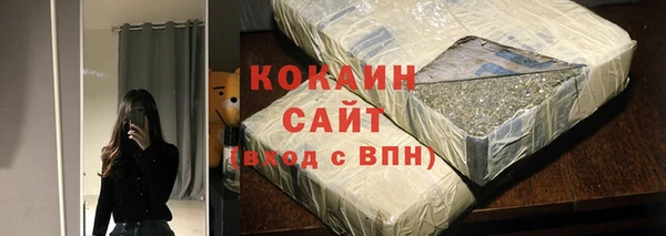 шишки Богородск