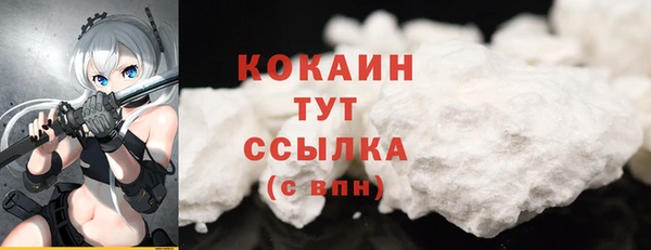 твердый Богданович