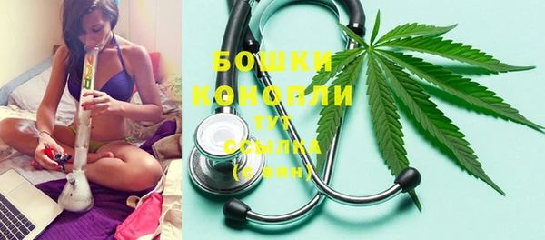 шишки Богородск